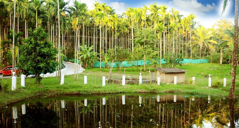 Anekad Jungle Stay Resort, Kushalnagar 5